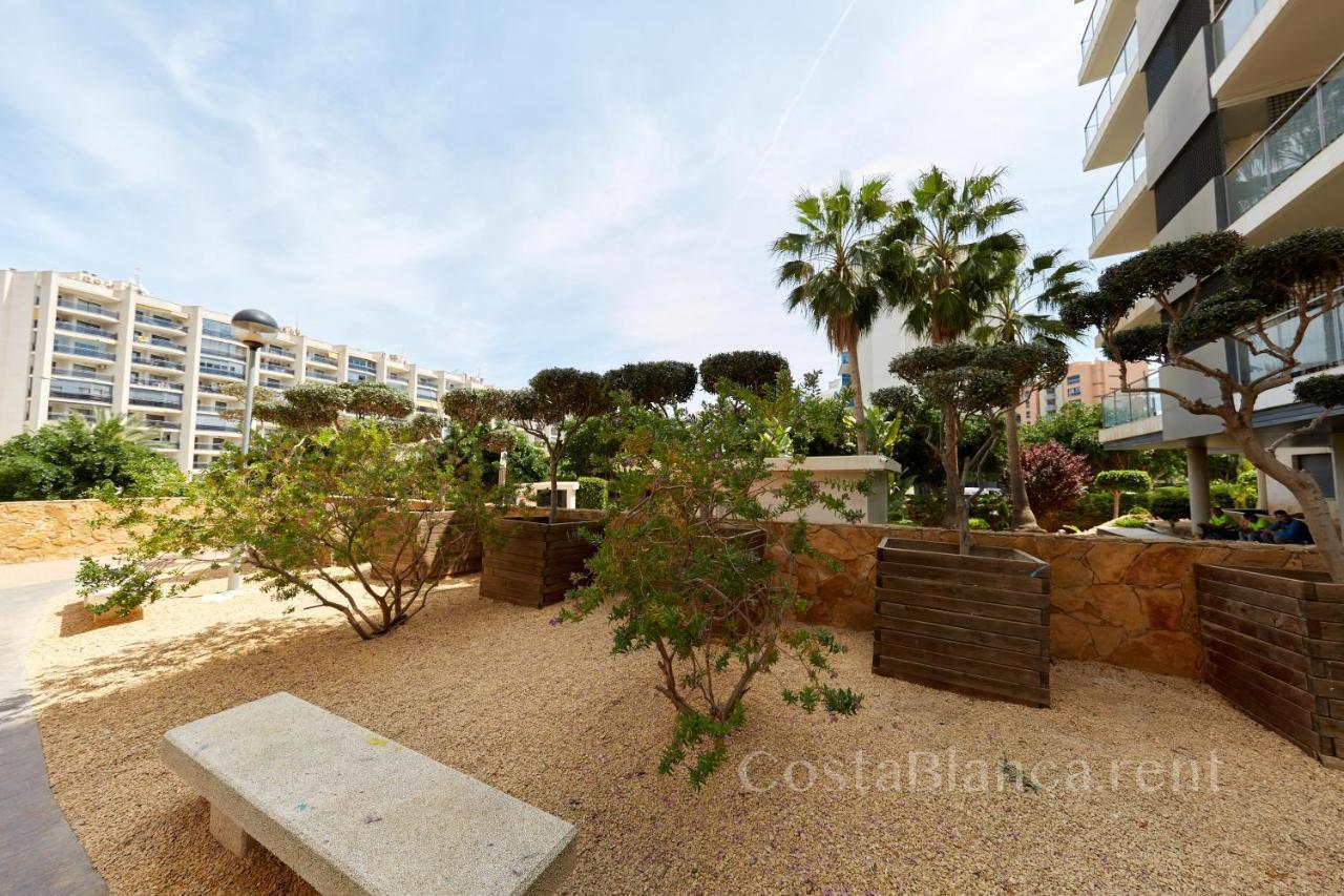בנידורם Luxurious, Newly-Renovated Large 2-Bedroom Condo By The Beach מראה חיצוני תמונה
